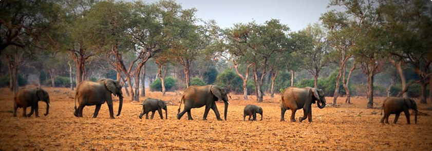 Croc Valley campsite